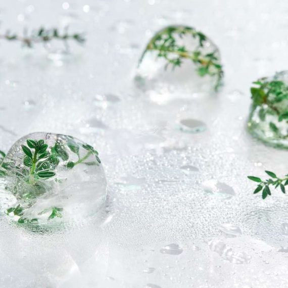 zioła liofilizowane